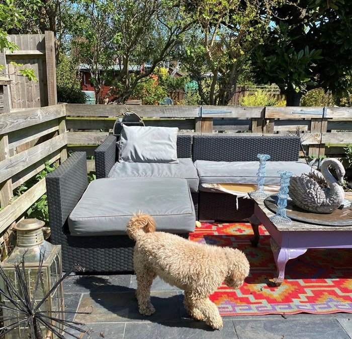 Lisa Potter-Dixon's old outdoor sofa set