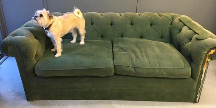 Repro Chesterfield sofa