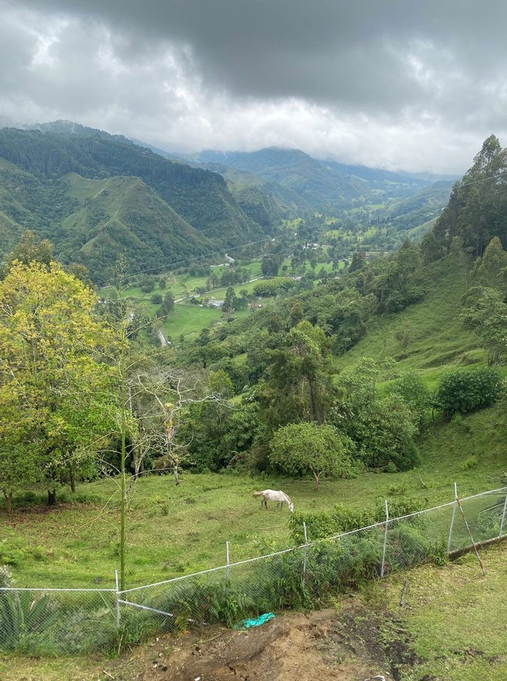 Colombia Cocora Valley