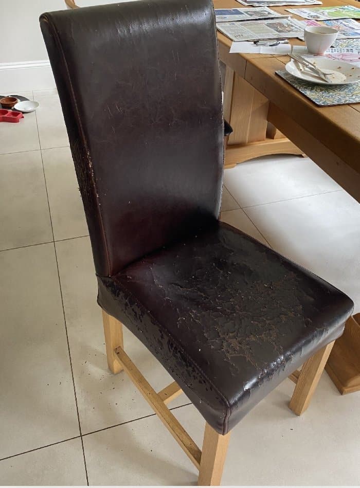 Damaged black leather dining room chair in need of reupholstering