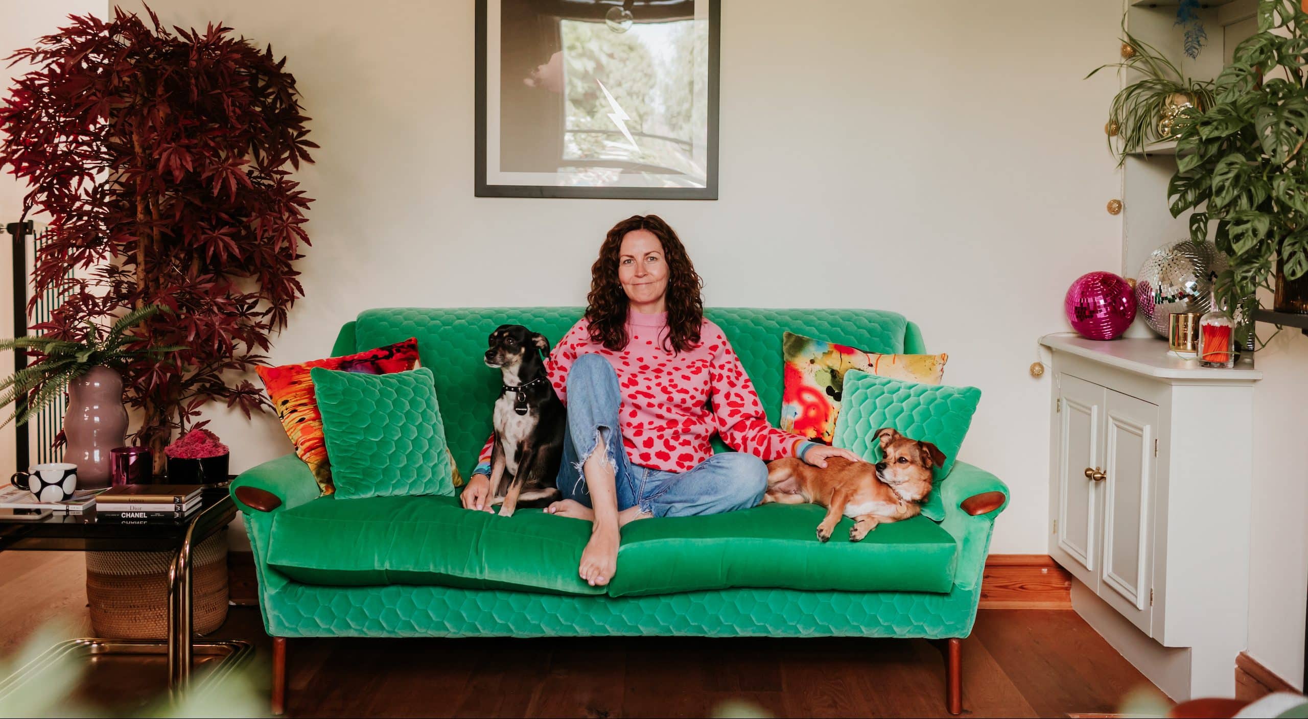 Sharon O’Connor – and rescue dogs – Vintique Upholstery Sharon O'Connor - and rescue dogs sat on a green sofa