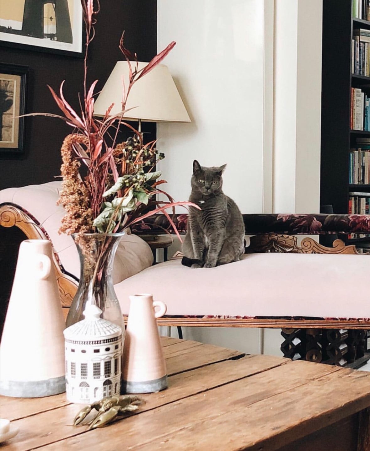 A cat sat on a sofa that has been reupholstered in velvet