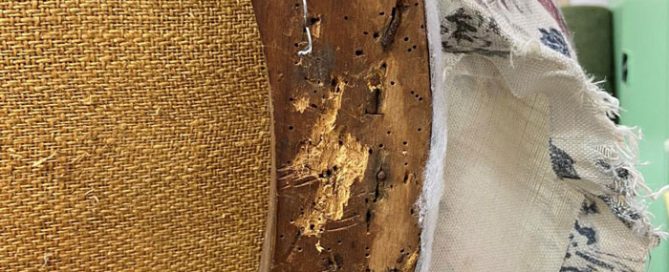 A upholstery nightmare due to a woodworrm infested brown chair