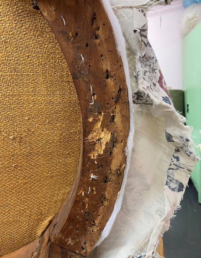 A upholstery nightmare due to a woodworrm infested brown chair